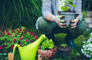 Garden Services Bridgnorth