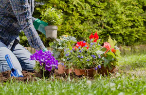 Garden Services Basildon
