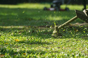 Gardener Aldeburgh