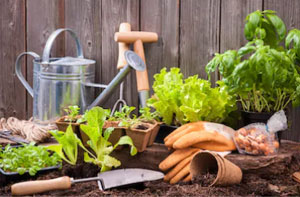 Shoeburyness Gardener