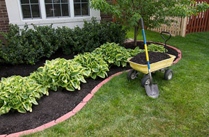 Gardener Reading