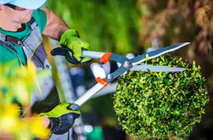 Gardeners Sale Greater Manchester