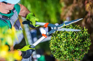 Widnes Gardeners