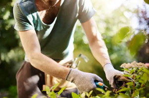 Gardeners in the Lincoln Area