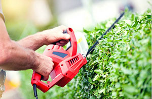 Frinton-on-Sea Gardeners