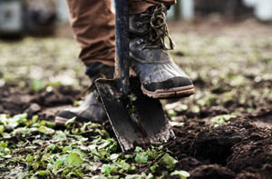 Gardening Services Aberystwyth Wales