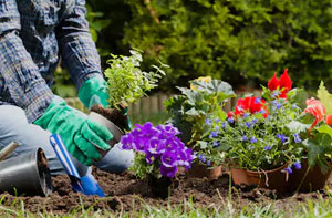 Gardening Services Emsworth Hampshire