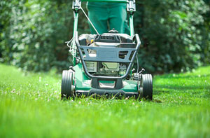 Lawn Care Grappenhall (01925)