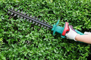 Gardening Services Wrexham Wales