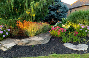 Stockton Heath Landscaped Garden Ideas