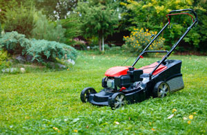 Lawn Care South Benfleet (01268)