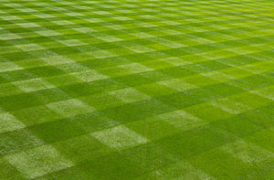 Lawn Care Maidenhead (01628)