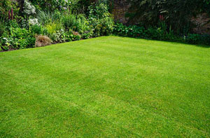 Lawn Care Oadby (0116)