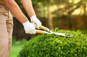 Gardeners in the Bicester Area