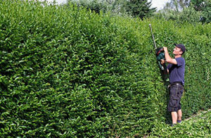 Gardening Services Egham Surrey