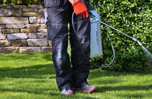 Garden Pest Control Calstock Cornwall