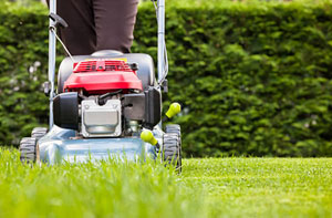 Gardeners in Heath Hayes