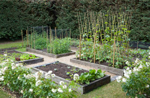 Vegetable Garden Whitworth